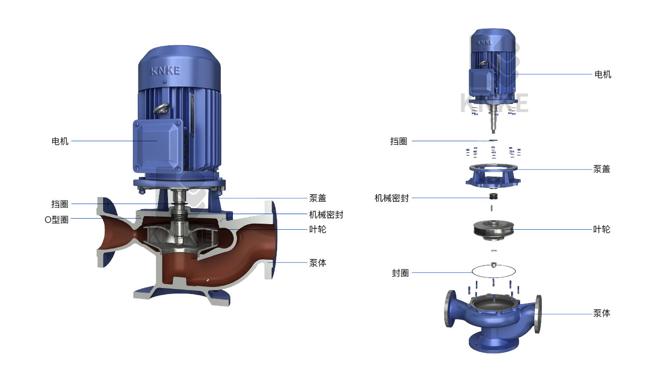 管道式無堵塞排汙泵結構圖.jpg